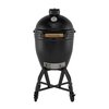 BigGreenEggOnyxLarge3