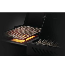GrilNapoleonPhanthom500PrestigeRost.jpeg