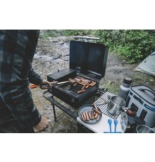 PeletovyGrilTraegerRanger7.jpeg