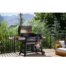 Traeger IRONWOOD INT9.jpeg