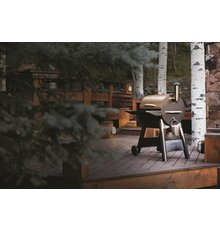Traeger PRO SERIES 22 (Blue)9.jpeg