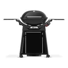 Weber_Q_3200N+_9.png
